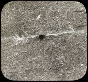 Image: Arrow in rock carved by Dr. Kane